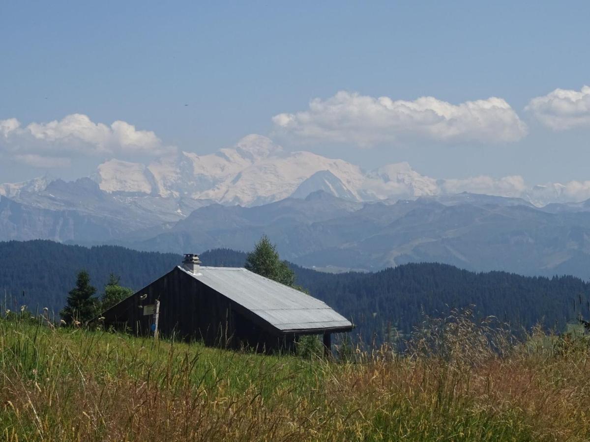 Apartment In Northern Alps With Skiing Nearby Les Gets Eksteriør billede