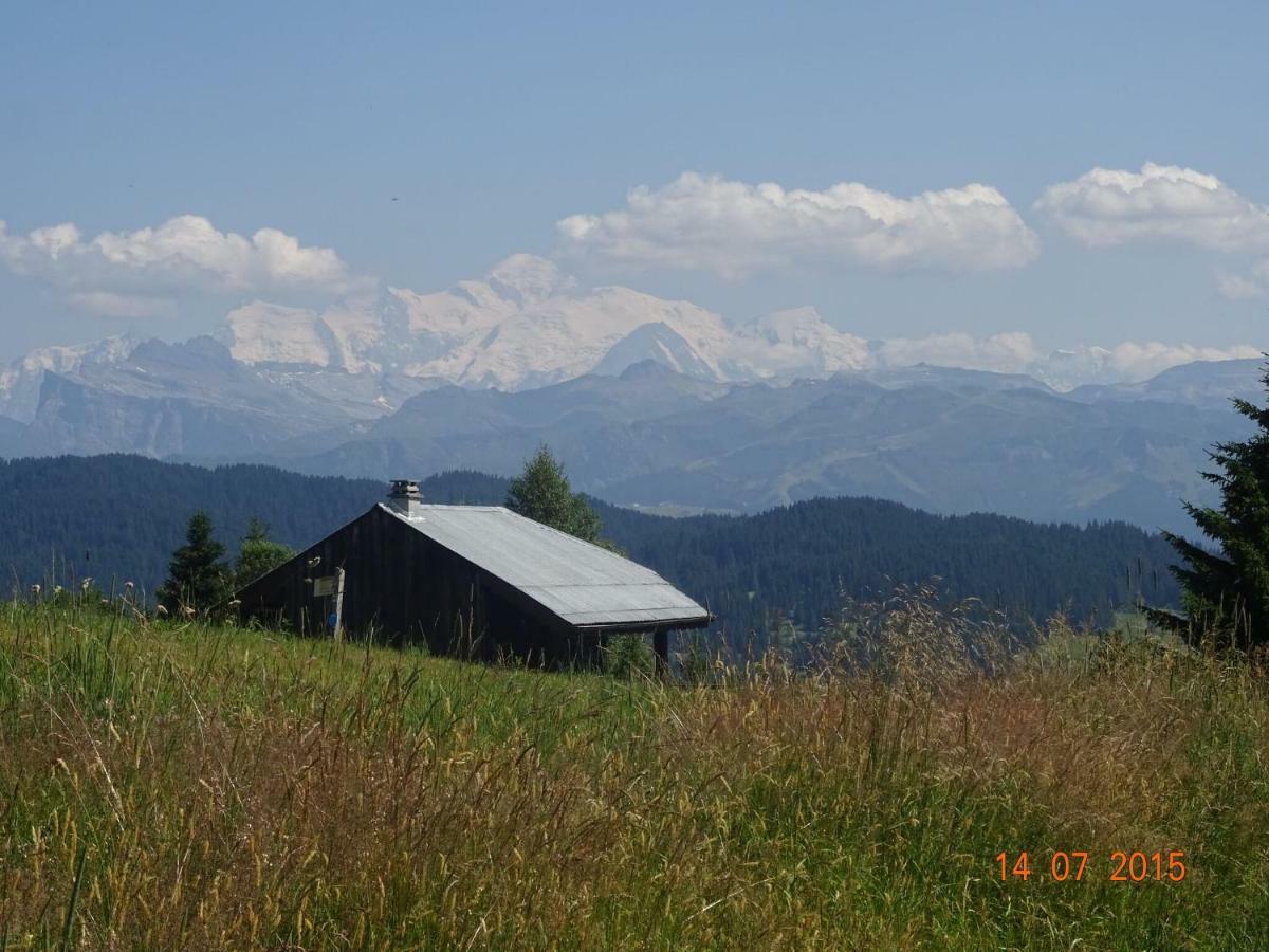 Apartment In Northern Alps With Skiing Nearby Les Gets Eksteriør billede